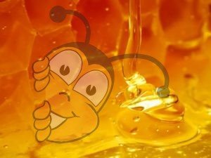 Как определить качество меда