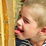 Всё лучшее - цветам жизни!