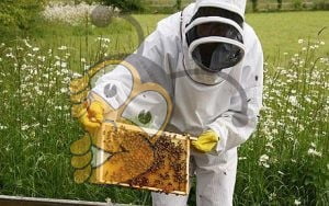Секрет свободного лечения пчеловодстве